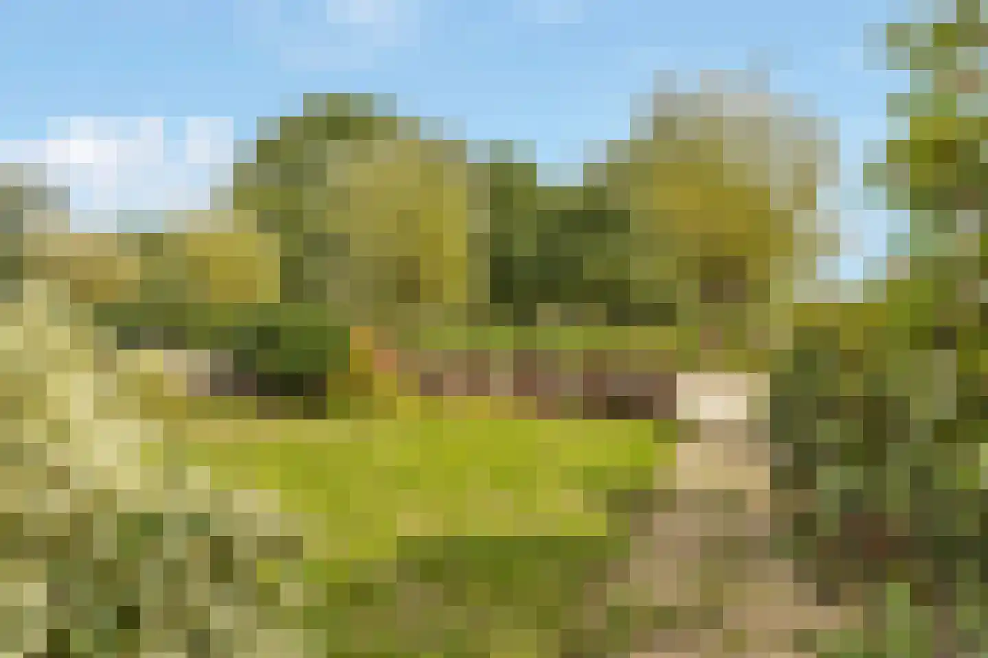 Emmaweg 49 Kortenhoef thumbnail 26