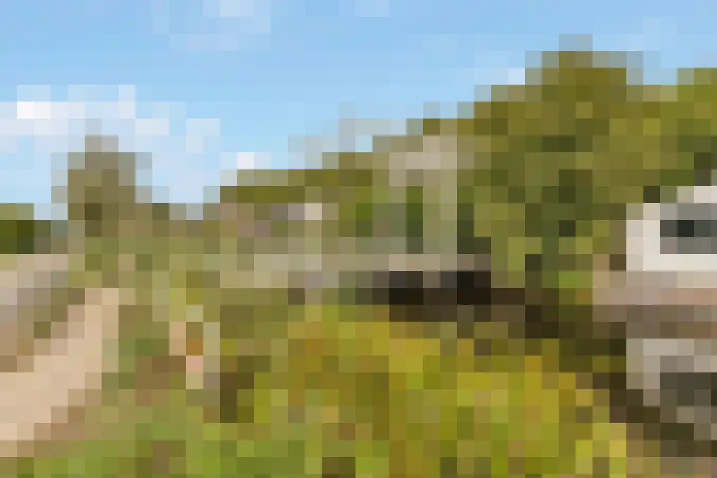 Emmaweg 49 Kortenhoef thumbnail 27