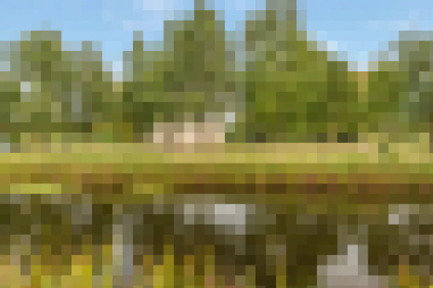 Emmaweg 49 Kortenhoef thumbnail 5