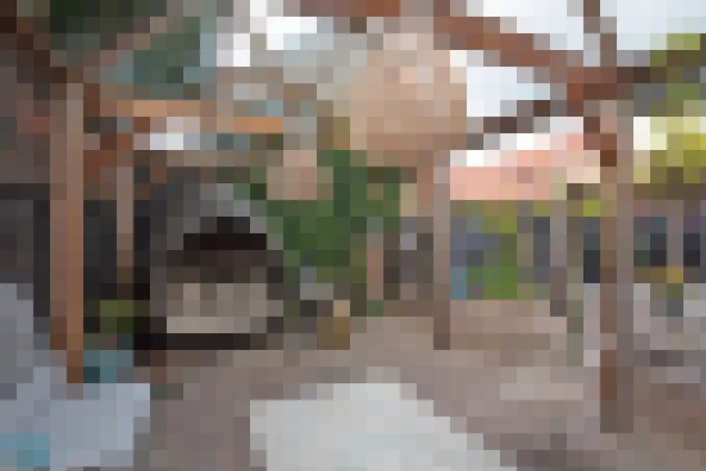 Emmaweg 6 A Hengelo thumbnail 23