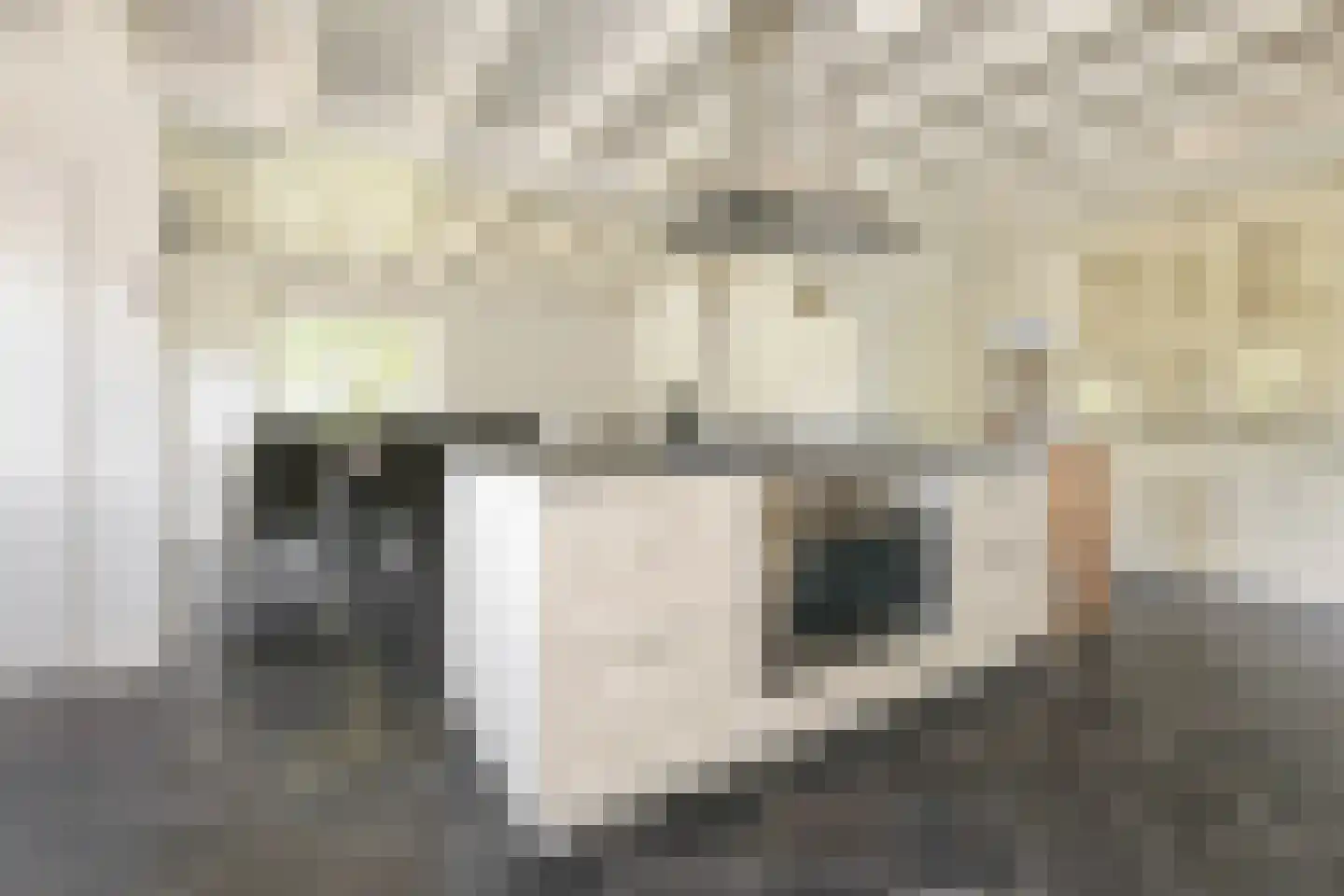 Emmaweg 78 Kortenhoef thumbnail 15