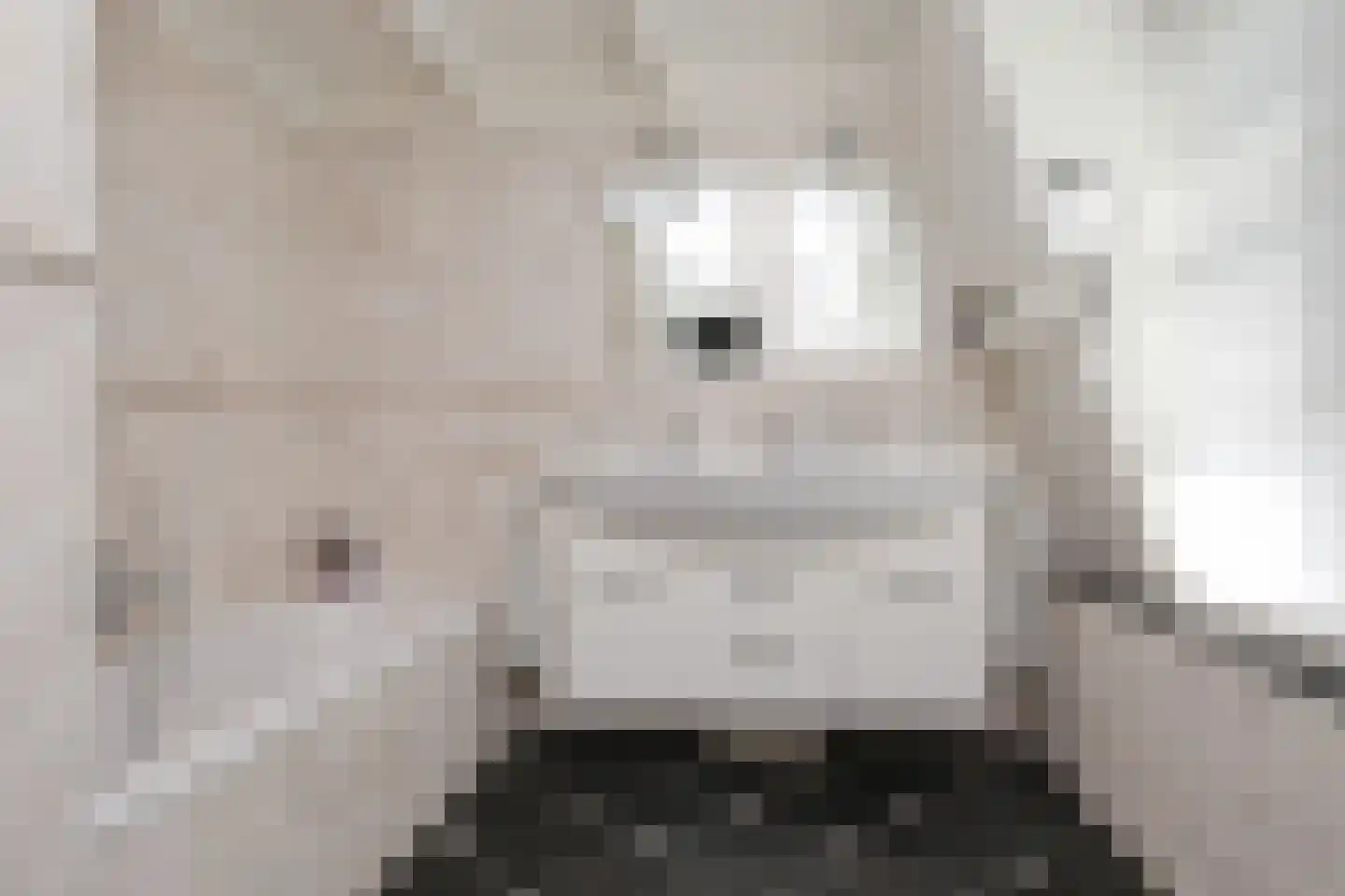 Emmaweg 78 Kortenhoef thumbnail 25