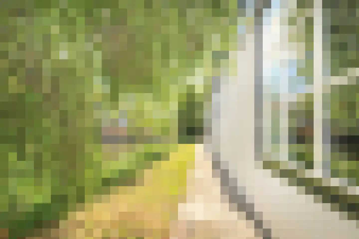 Emmaweg 78 Kortenhoef thumbnail 32