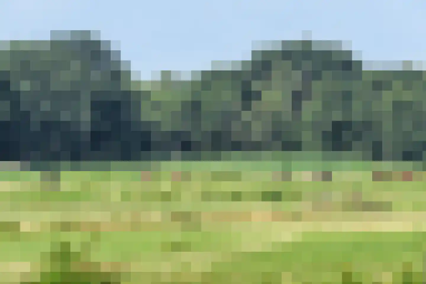 Emmaweg 78 Kortenhoef thumbnail 36