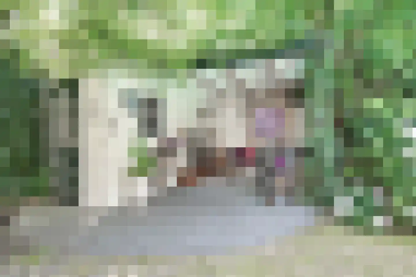 Emmaweg 78 Kortenhoef thumbnail 40