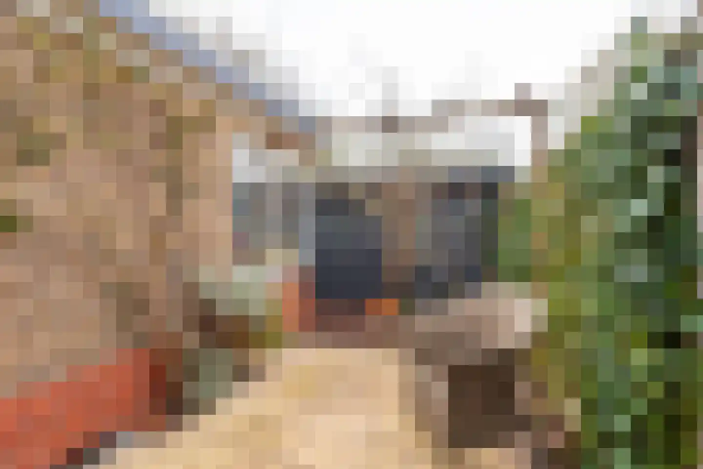Emmaweg 8 Nieuwegein thumbnail 15