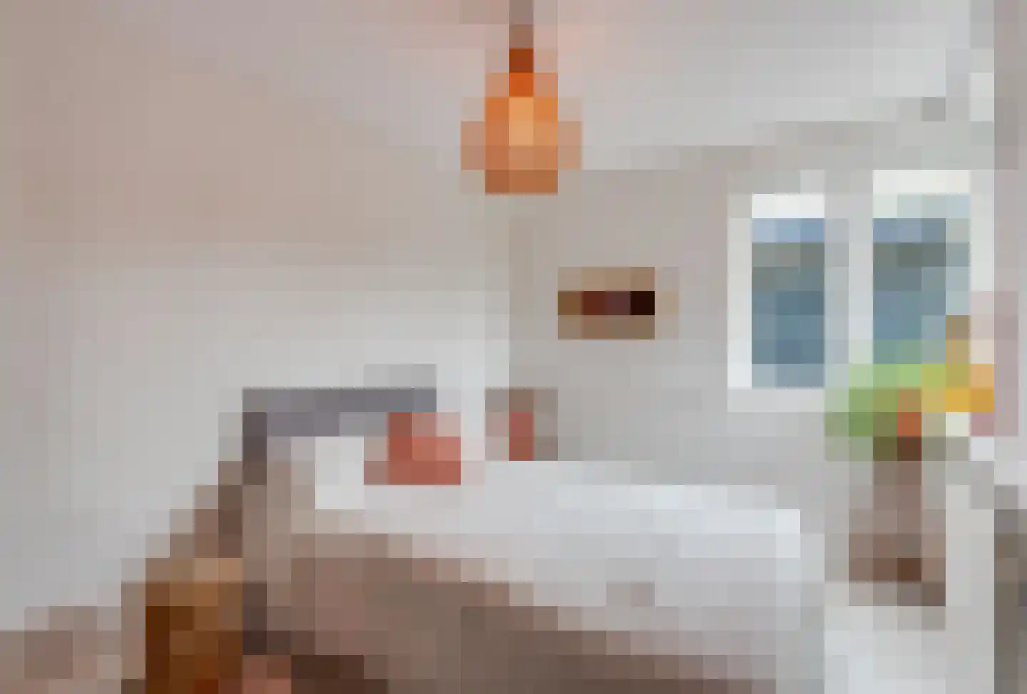 Emmaweg 8 Nieuwegein thumbnail 16