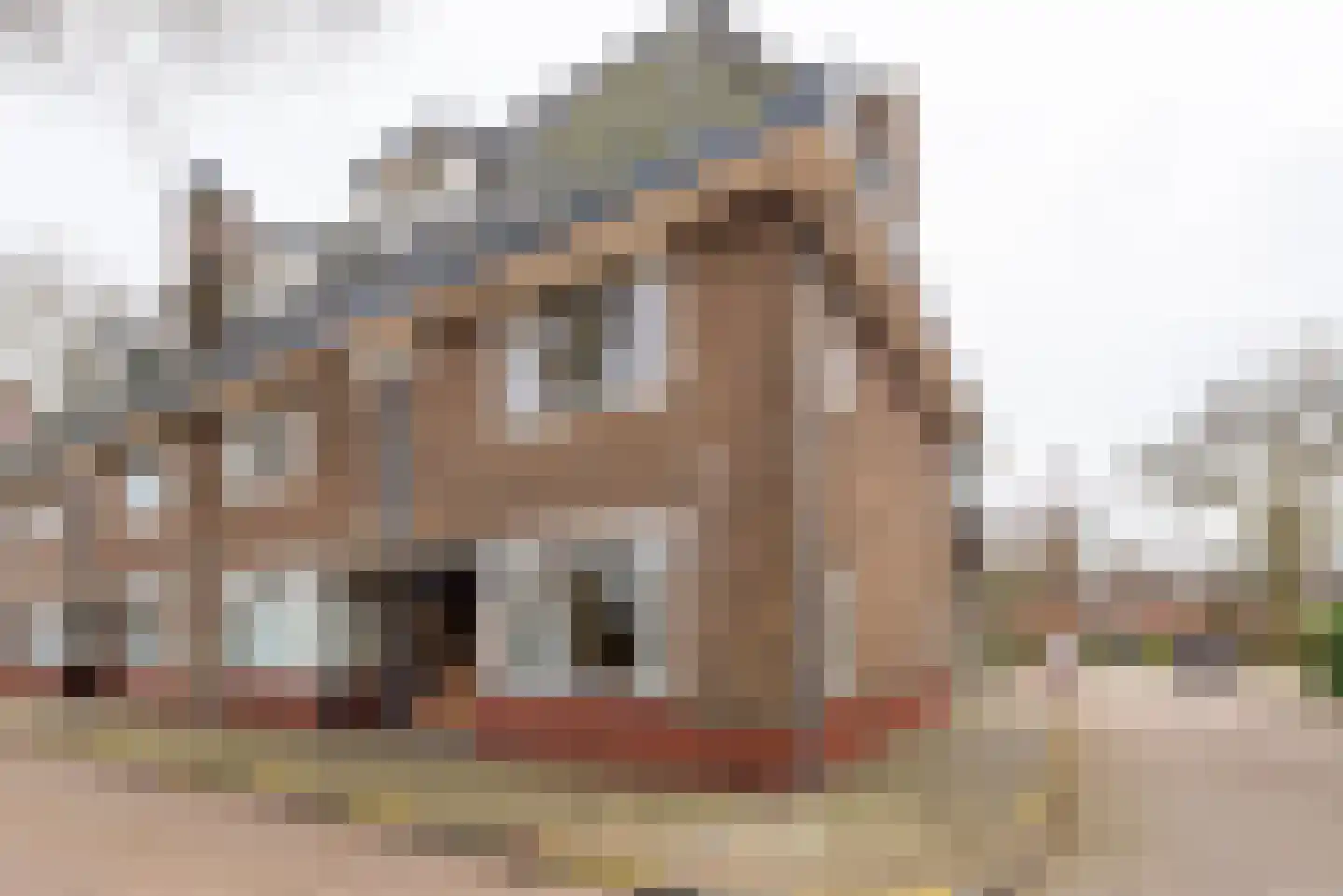 Emmaweg 8 Nieuwegein thumbnail 22