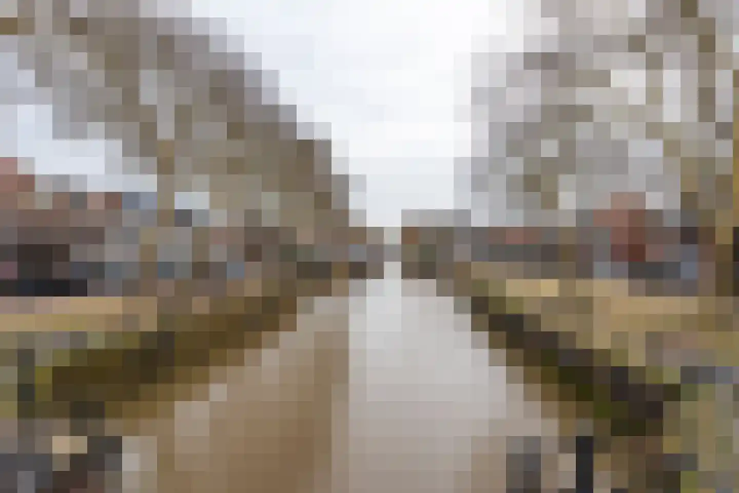 Emmaweg 8 Nieuwegein thumbnail 33
