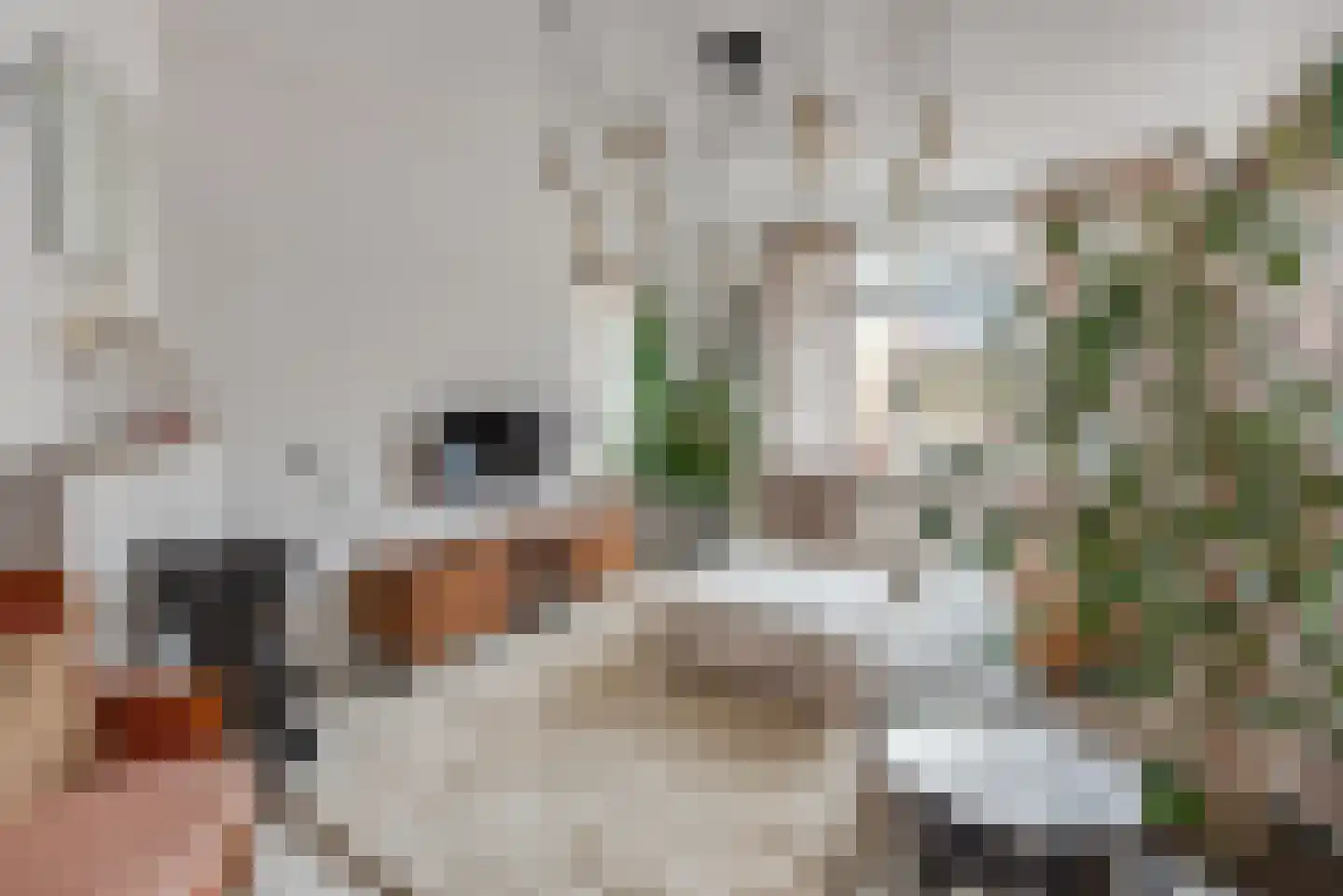 Emmaweg 8 Nieuwegein thumbnail 6