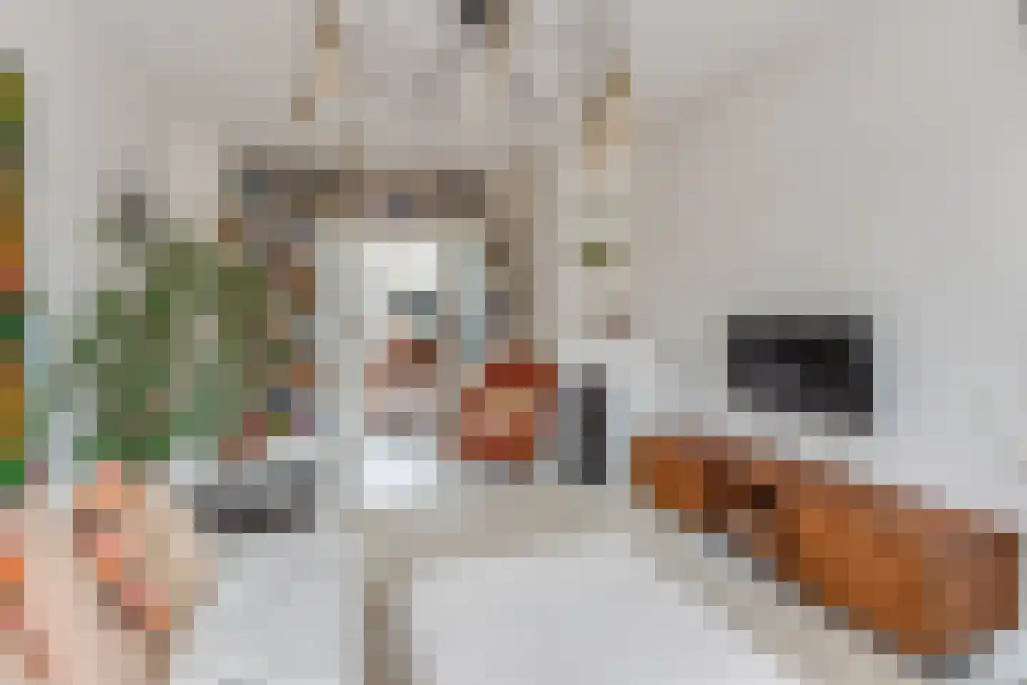 Emmaweg 8 Nieuwegein thumbnail 7