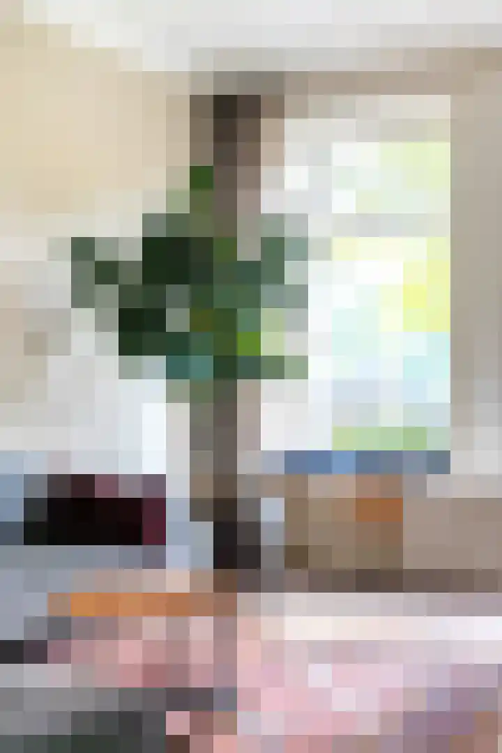 Emmawijk 15 Zwolle thumbnail 12