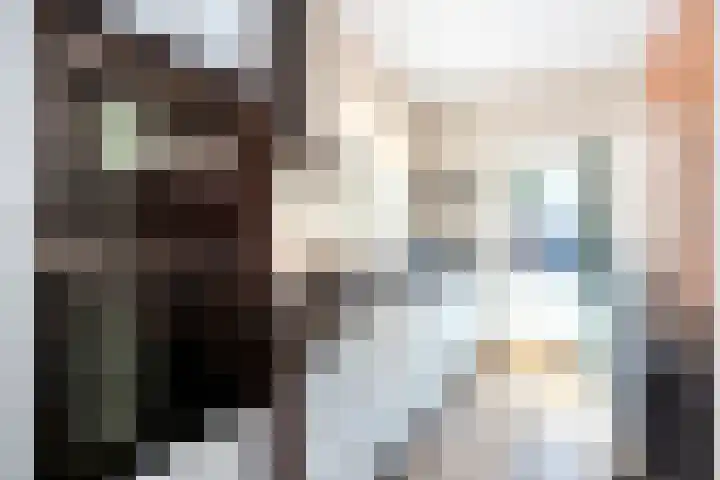 Emmawijk 15 Zwolle thumbnail 18