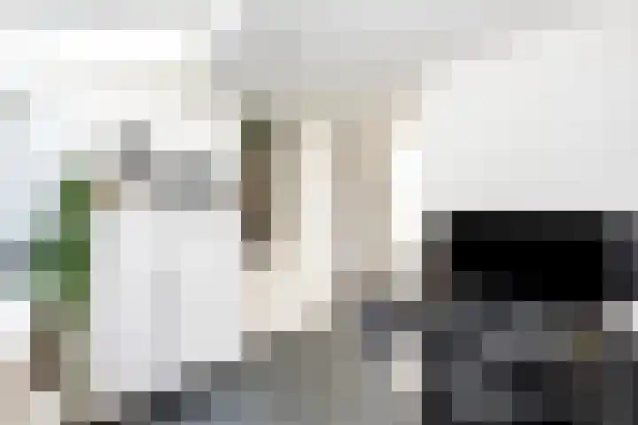 Emmawijk 15 Zwolle thumbnail 21