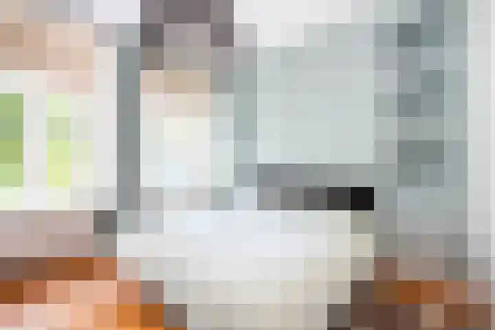 Emmawijk 15 Zwolle thumbnail 24