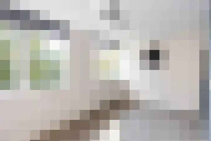 Emmawijk 15 Zwolle thumbnail 37