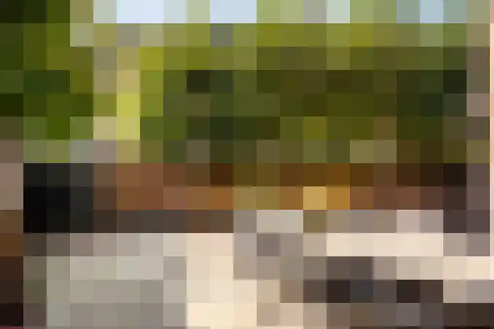 Emmawijk 15 Zwolle thumbnail 39