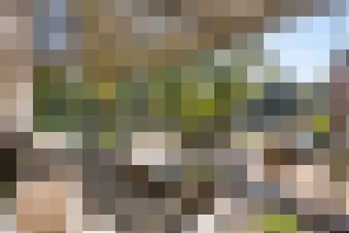 Emmawijk 15 Zwolle thumbnail 41