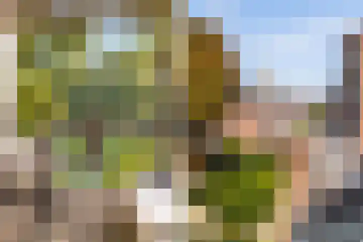 Emmawijk 15 Zwolle thumbnail 42