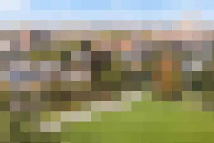 Emmawijk 15 Zwolle thumbnail 47