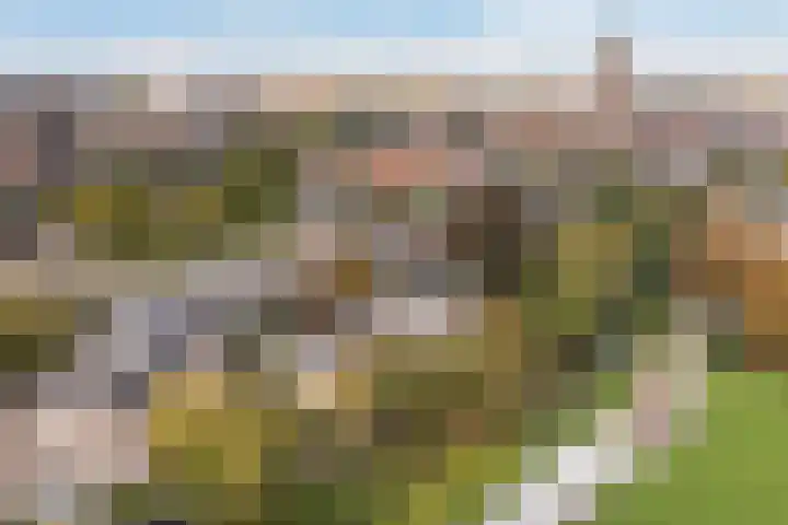 Emmawijk 15 Zwolle thumbnail 49