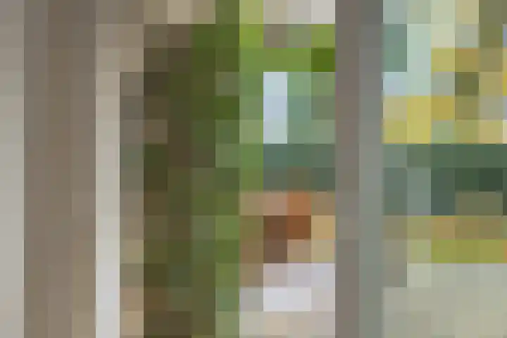 Emmencamp 1 Asten thumbnail 12