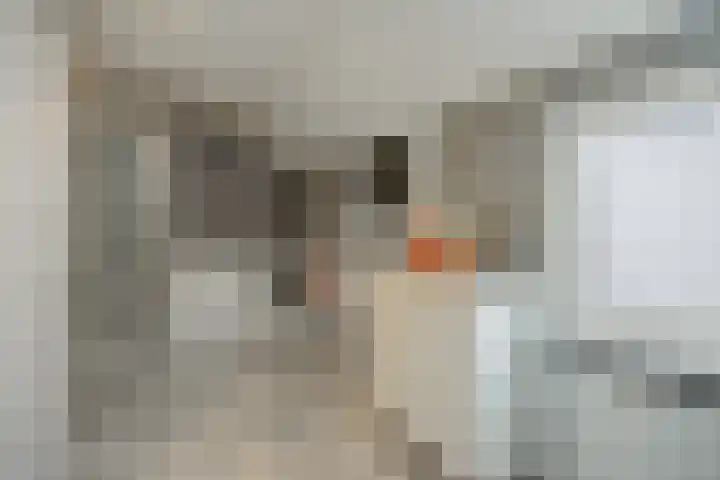 Emmencamp 1 Asten thumbnail 31
