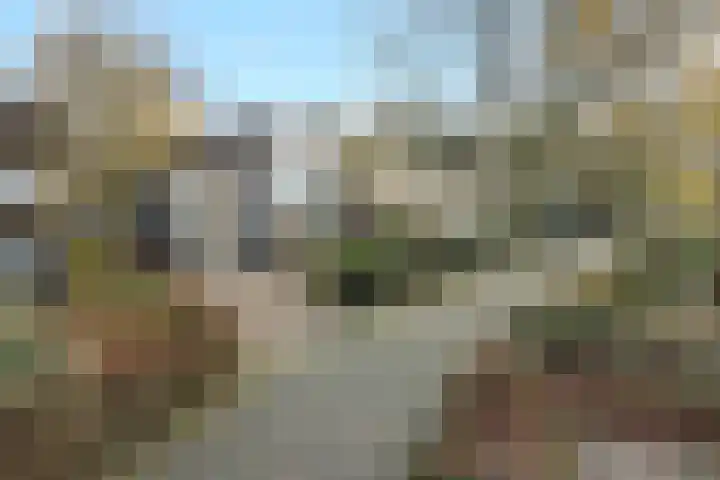 Emmencamp 1 Asten thumbnail 62