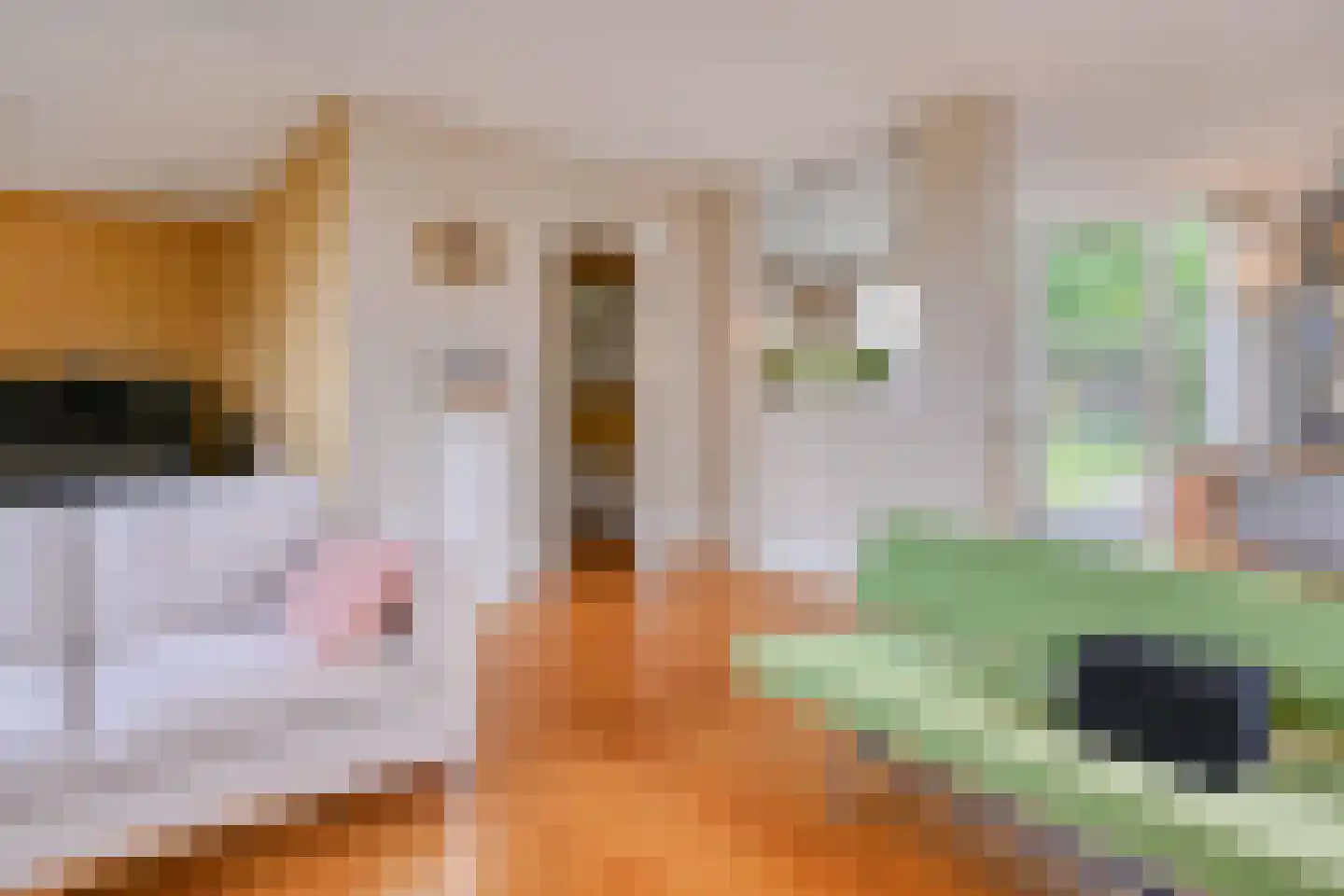 Emmenhoeve 27 Bennekom thumbnail 12