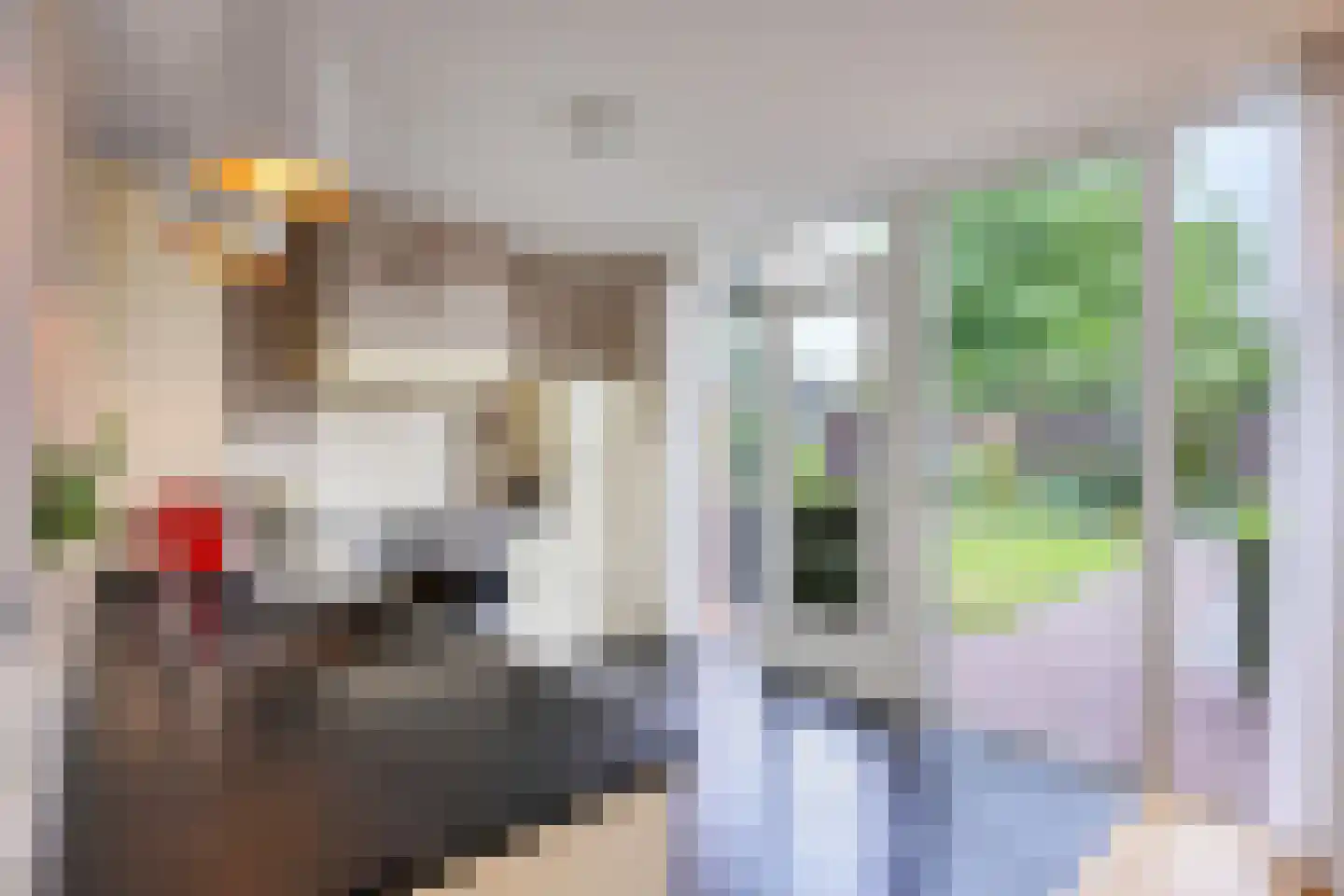 Emmenhoeve 27 Bennekom thumbnail 16