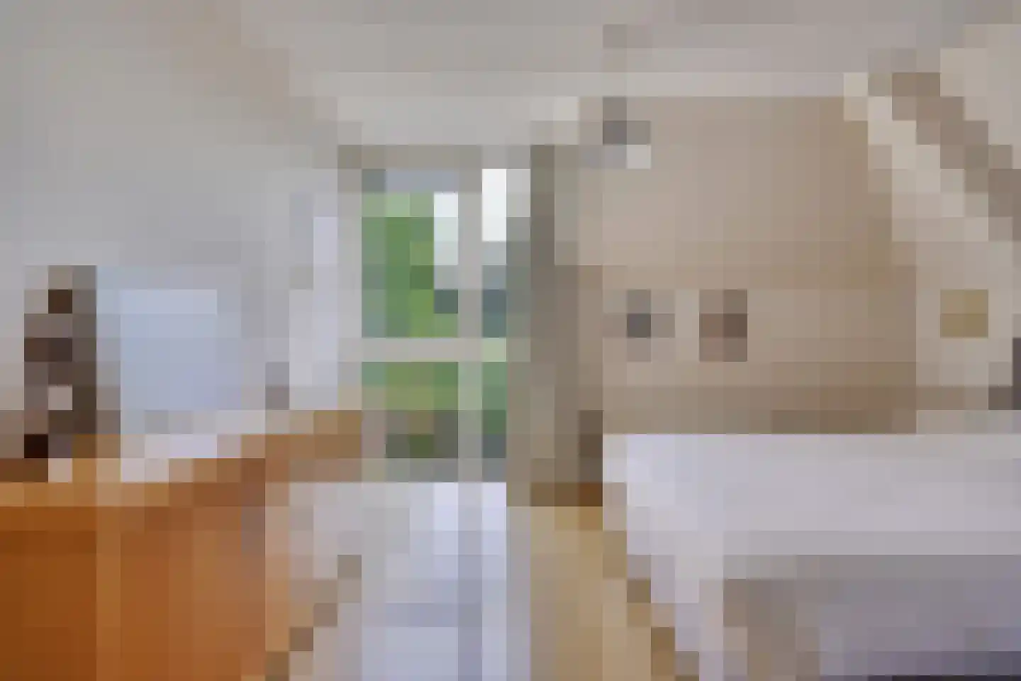 Emmenhoeve 27 Bennekom thumbnail 23