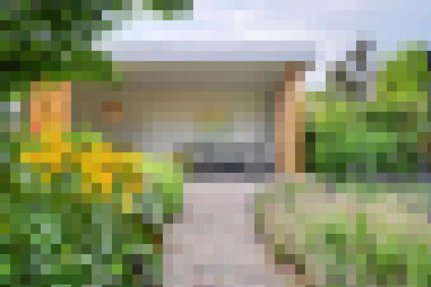 Emmenhoeve 27 Bennekom thumbnail 38