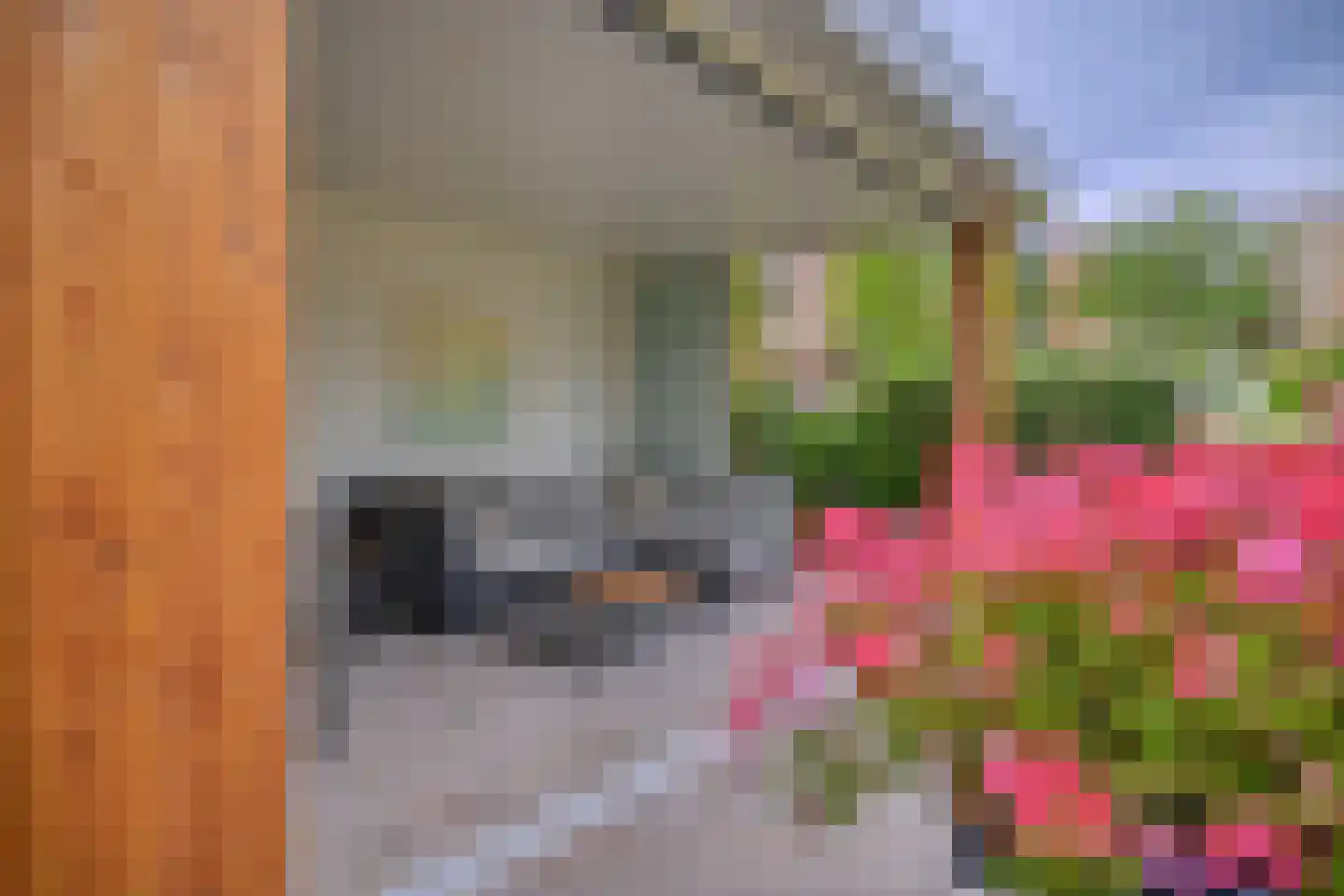 Emmenhoeve 27 Bennekom thumbnail 39