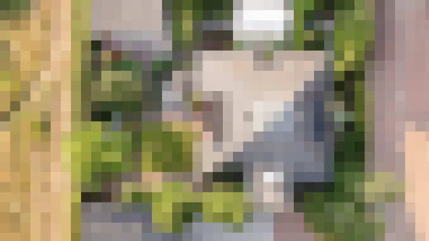 Emmenhoeve 27 Bennekom thumbnail 61