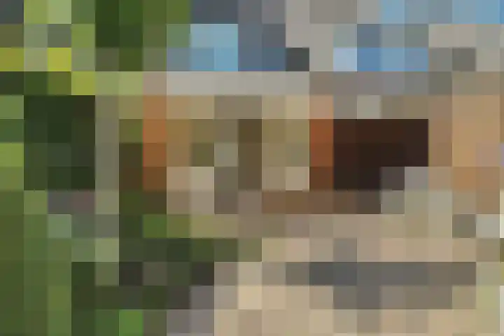 Emmenhoeve 36 Bennekom thumbnail 30