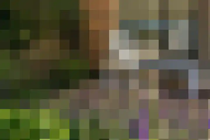 Emmenhoeve 36 Bennekom thumbnail 31