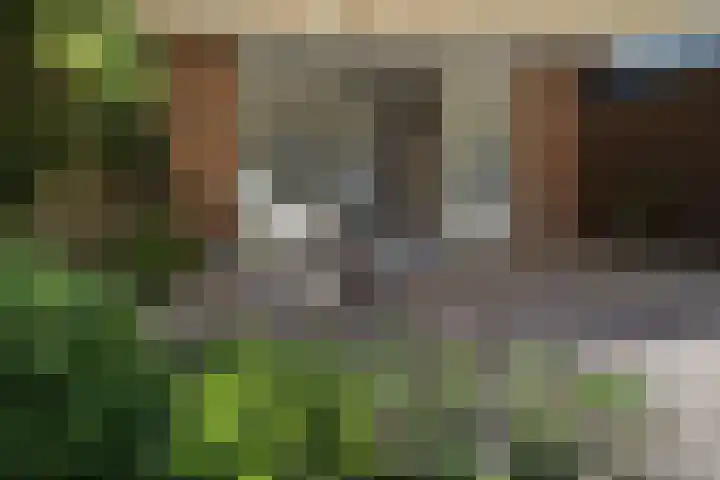 Emmenhoeve 36 Bennekom thumbnail 32