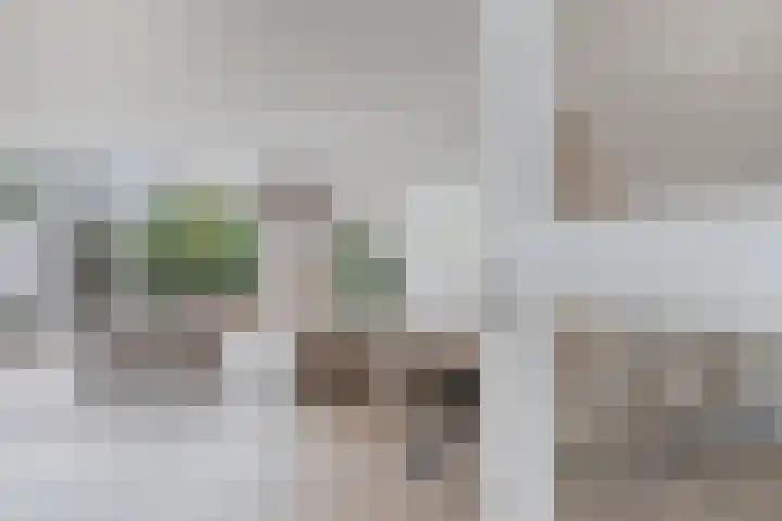 Emmenhoeve 36 Bennekom thumbnail 5