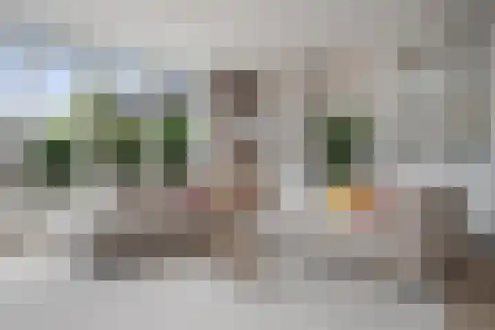 Emmenhoeve 36 Bennekom thumbnail 8