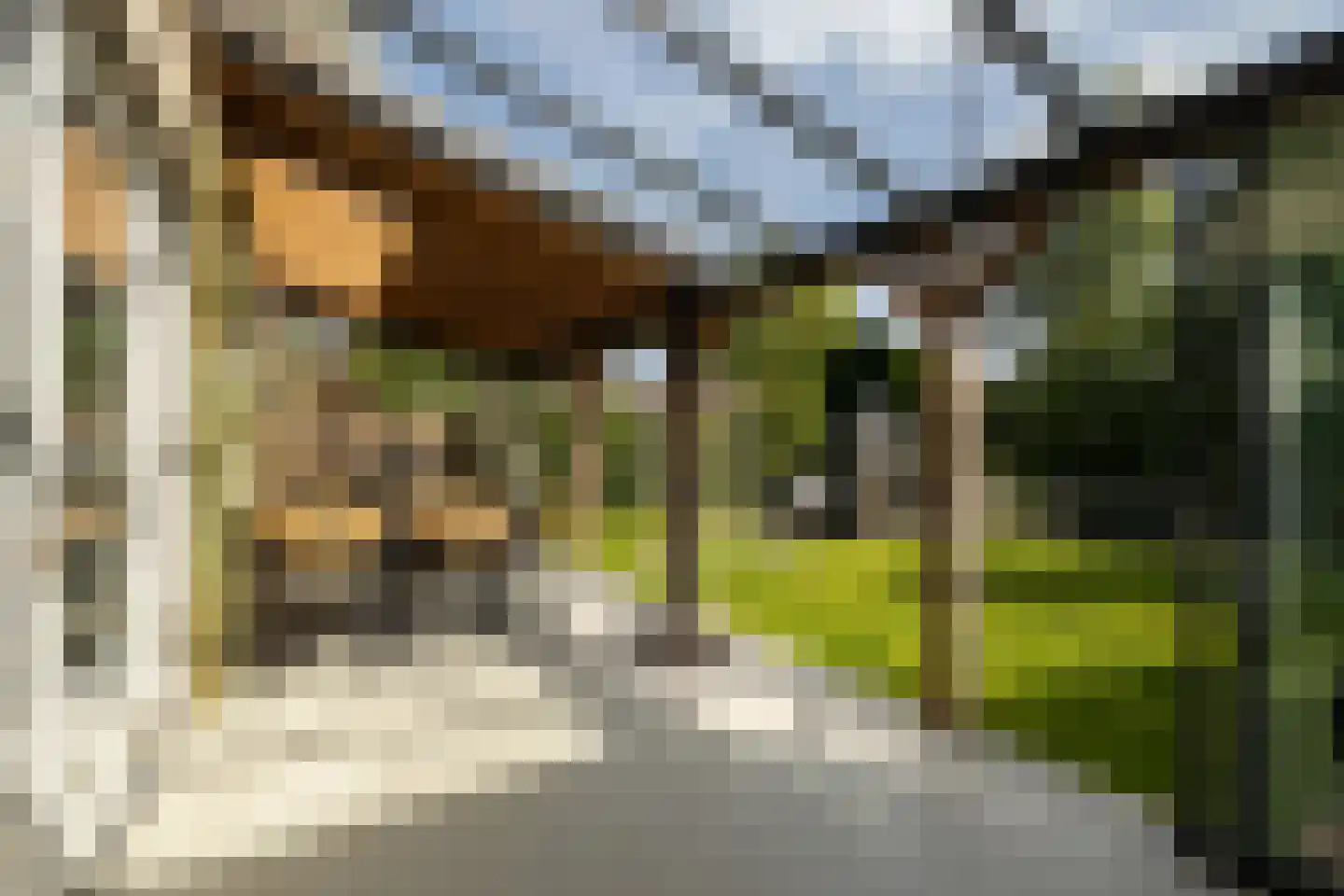 Emmensstraat 14 Honselersdijk thumbnail 4