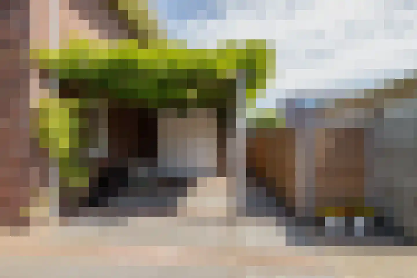 Emmensstraat 14 Honselersdijk thumbnail 43