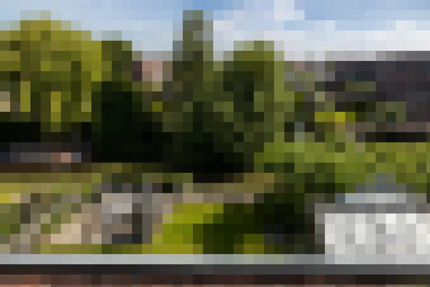 Emmensstraat 14 Honselersdijk thumbnail 45