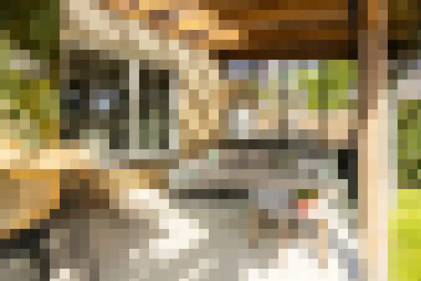Emmensstraat 14 Honselersdijk thumbnail 47