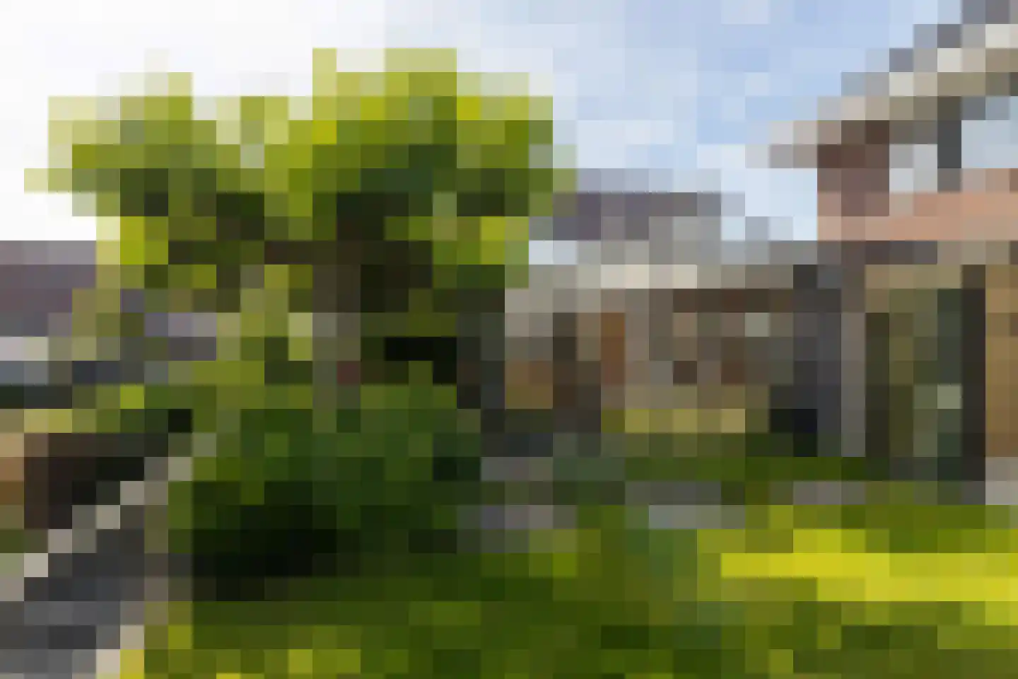 Emmensstraat 14 Honselersdijk thumbnail 52
