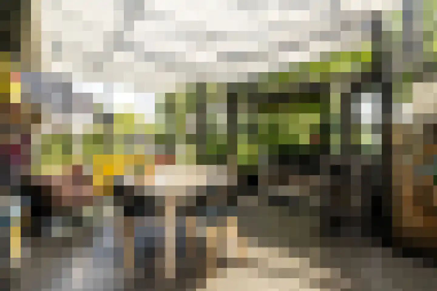 Emmensstraat 14 Honselersdijk thumbnail 55