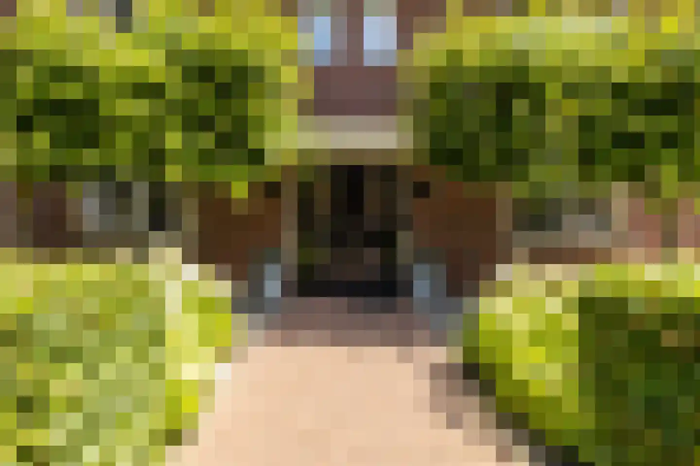 Emmensstraat 14 Honselersdijk thumbnail 7