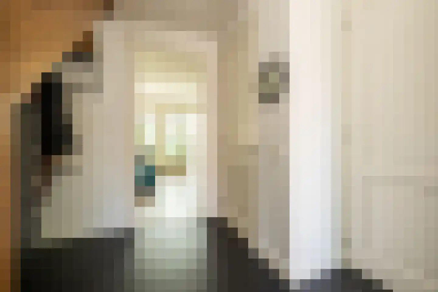 Emmensstraat 14 Honselersdijk thumbnail 9