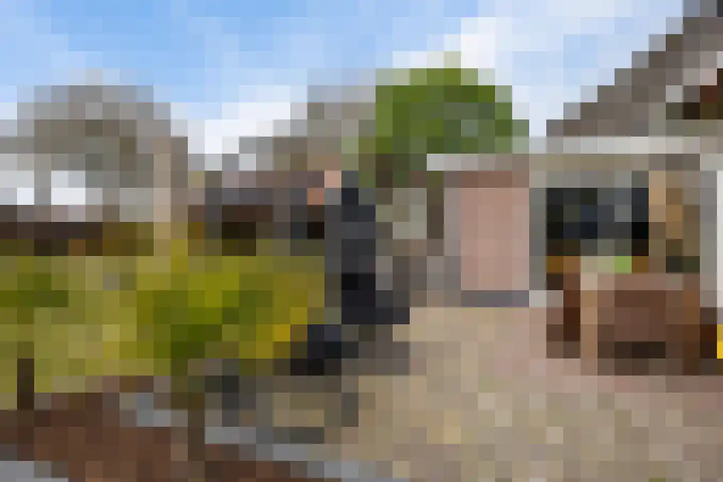 Emmerhoutstraat 157 Emmen thumbnail 34