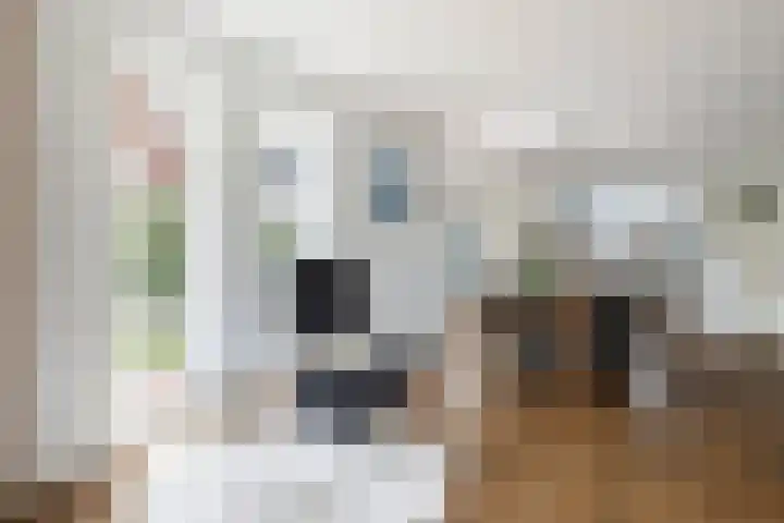 Emmerich Kálmánlaan 1 Utrecht thumbnail 12