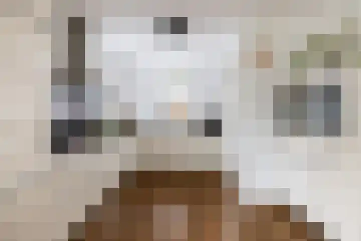 Emmerich Kálmánlaan 1 Utrecht thumbnail 18